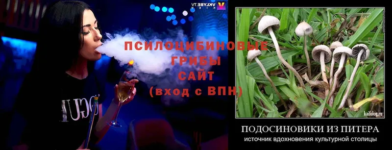 Галлюциногенные грибы Magic Shrooms  Бирск 